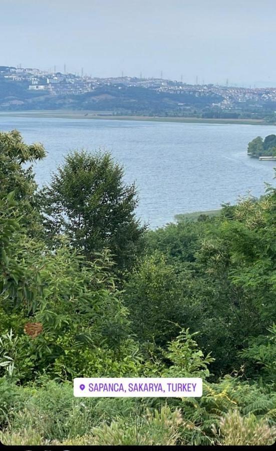 Sapanca Manzara Villa 1 Isitma Havuzlu Экстерьер фото